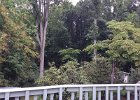 2014-08-01 10.06.30